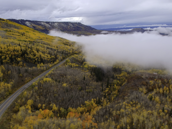 Yellow and Orange Leafed Trees Above Clouds