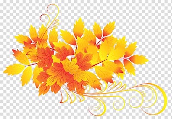 Yellow and orange leaves , Autumn leaf color , Autumn Leaves transparent background PNG clipart