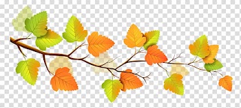 Yellow and orange leaves illustration, Autumn Branch Tree , Fall Branch Decor transparent background PNG clipart