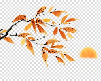 Yellow and orange plant illustration, Chuseok Mid-Autumn Festival Guangzhou Baiyunshan Mingxing Pharmaceutical Co., Ltd., Chinese style painting advertising design transparent background PNG clipart