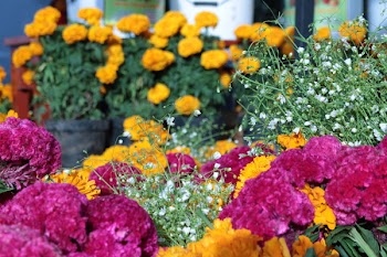 Yellow and Pink Flowers Arrangement