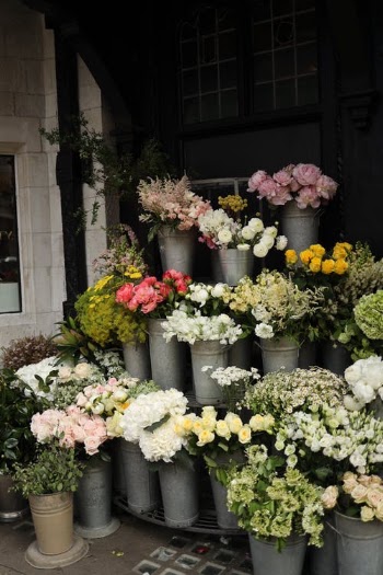 Yellow and Pink Flowers on Gray Concrete Pot · Free Stock Photo