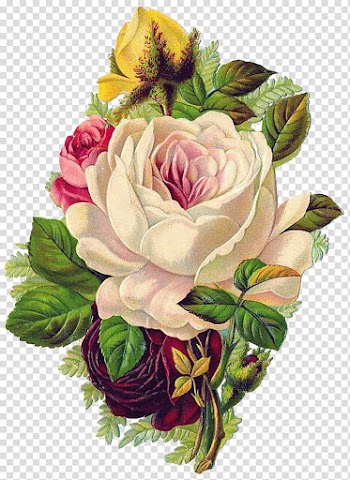 Yellow and pink petaled flowers, Rose Flower Paper The Babys Bouquet: A French Bunch of Old Rhymes and Tunes., Hand-painted flowers poster Flowers background ,Romantic hand-painted flowers transparent background PNG clipart