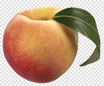 Yellow and red apple fruit, Peach Solo transparent background PNG clipart