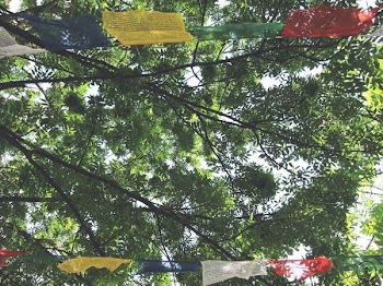yellow and red buntings beside green leafed tree