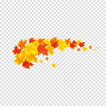 Yellow and red maple leaf , Autumn leaf color Banner , Maple Leaf transparent background PNG clipart