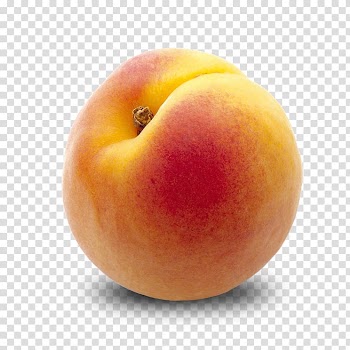 Yellow and red peach fruit, Apricot Fruit Desktop Eating Peach, Peach Peaches transparent background PNG clipart