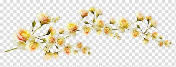 Yellow and white flower , Flower , Yellow flowers branch transparent background PNG clipart