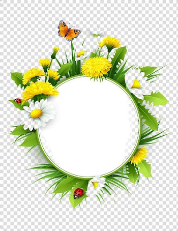 Yellow and white petaled flower artwork, Common Dandelion Euclidean Flower Common daisy, Flowers Title box transparent background PNG clipart