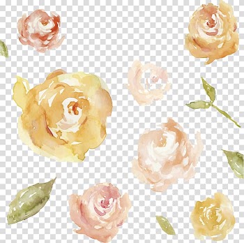 Yellow and white rose , Watercolour Flowers Watercolor painting Pink flowers, Watercolor flowers transparent background PNG clipart