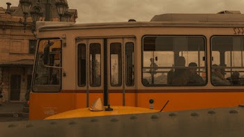 Yellow and White Train