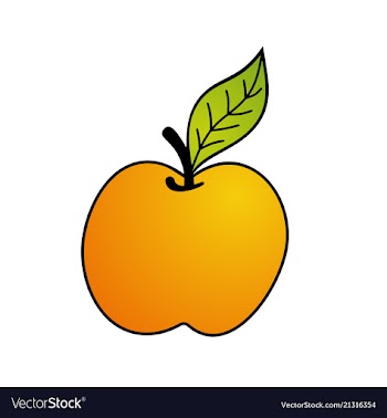 Yellow apple on white background vector image