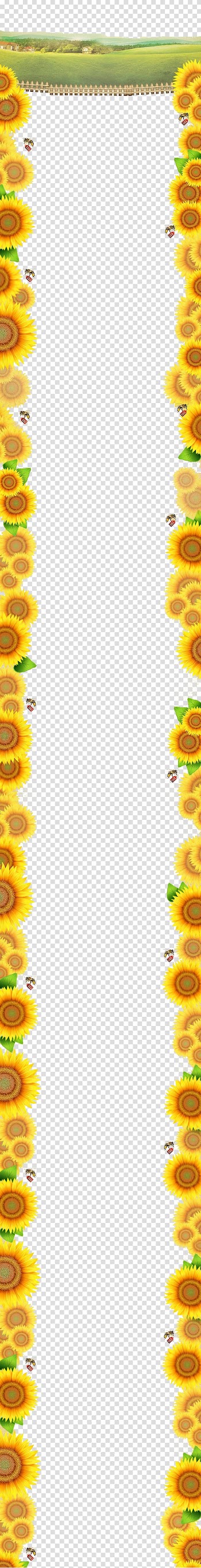 Yellow Area Angle Pattern, Sunflower Border transparent background PNG clipart