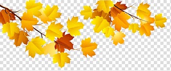 Yellow Autumn Leaf , Autumn transparent background PNG clipart