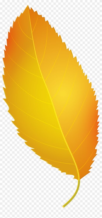 Yellow Autumn Leaf Png Clip Art - Yellow Leaf Png
