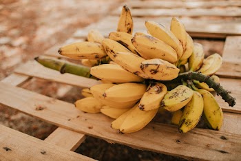 Yellow Banana Fruits 