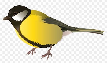 Yellow Bird Png Clipart - Png Birds