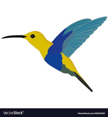 yellow blue hummingbird