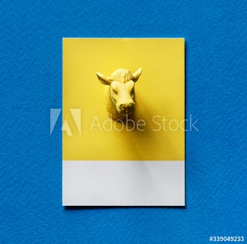 Yellow bulls head on paper