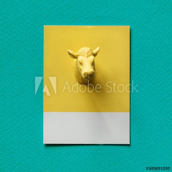Yellow bulls head on paper