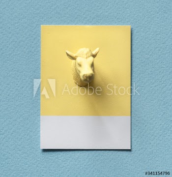 Yellow bulls head on paper