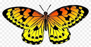 Yellow Butterflies Clipart Gallery Butterfly Pencil - Yellow Orange Black Butterfly