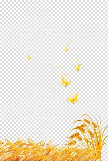 Yellow butterflies illustration, Wheat Advertising Poster Cereal, Mature wheat transparent background PNG clipart