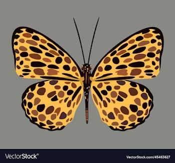 yellow butterfly with dark spots