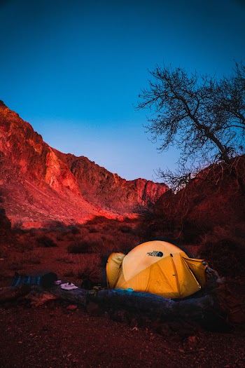Yellow Cabin Tent at Canyon