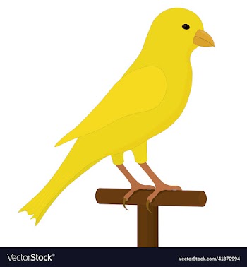 yellow canary on bird perch