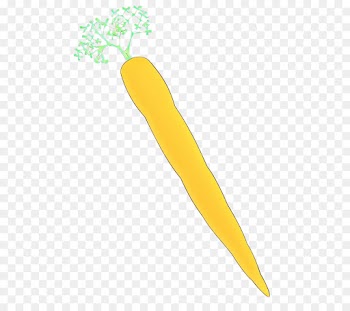 yellow carrot vegetable vegetarian food food