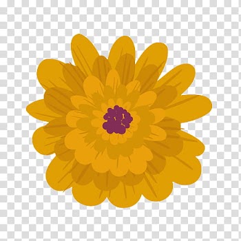 Yellow cluster flower illustration transparent background PNG clipart
