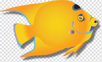 Yellow Corporate identity Logo Marine biology Orange, yellow highlight transparent background PNG clipart