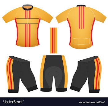 Yellow cycling vest vector image