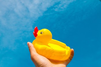 Yellow Duck