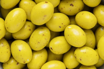 Yellow Eggs