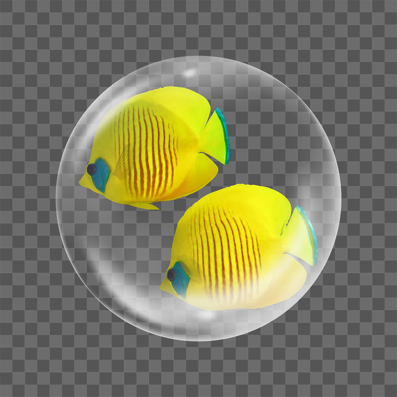 Yellow exotic fish png sticker, | Free PNG - rawpixel