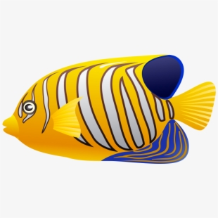 Yellow Fish Png Clip Art - Coral Reef Fish Clip Art , Transparent ...