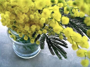 yellow flower arrangement on gray surface