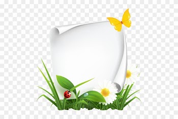 Yellow Flower Borders - Nature Vector Borders
