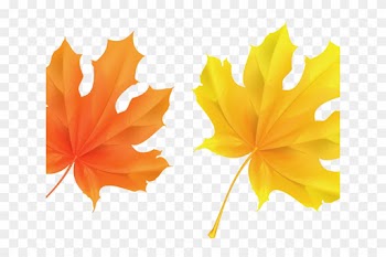 Yellow Flower Clipart Leave Clipart - Fall Leaf Clipart No Background