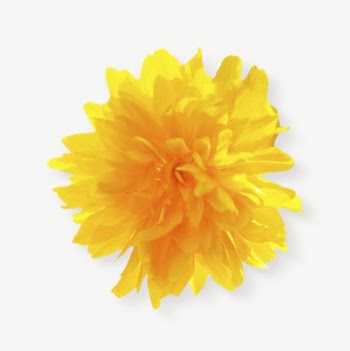Yellow flower collage element psd | Free PSD - rawpixel
