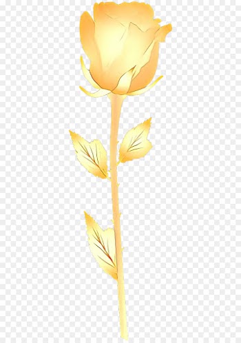 yellow flower cut flowers plant flowering plant