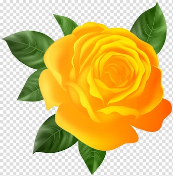 Yellow flower illustration, Purple Rose Home Purple Rose Theatre Company, Orange Rose transparent background PNG clipart