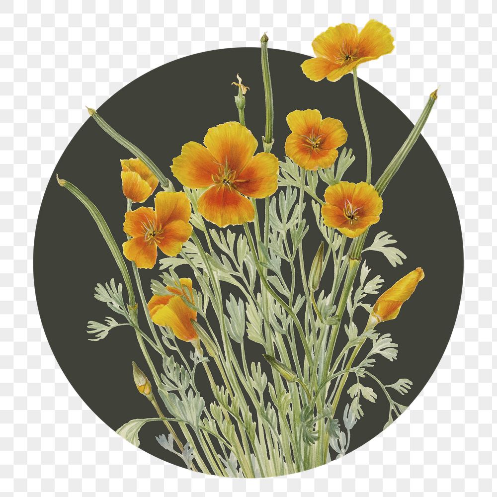 Yellow flower png badge sticker, | Free PNG - rawpixel