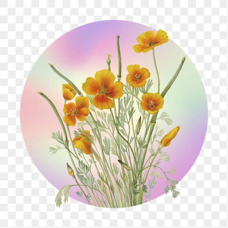 Yellow flower png on gradient | Free PNG - rawpixel