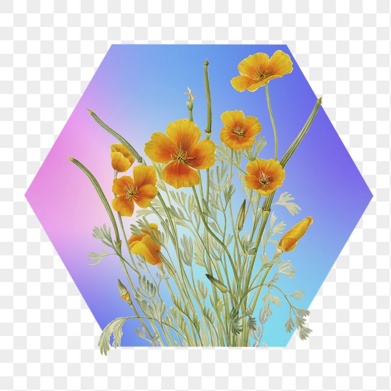 Yellow flower png on gradient | Free PNG - rawpixel