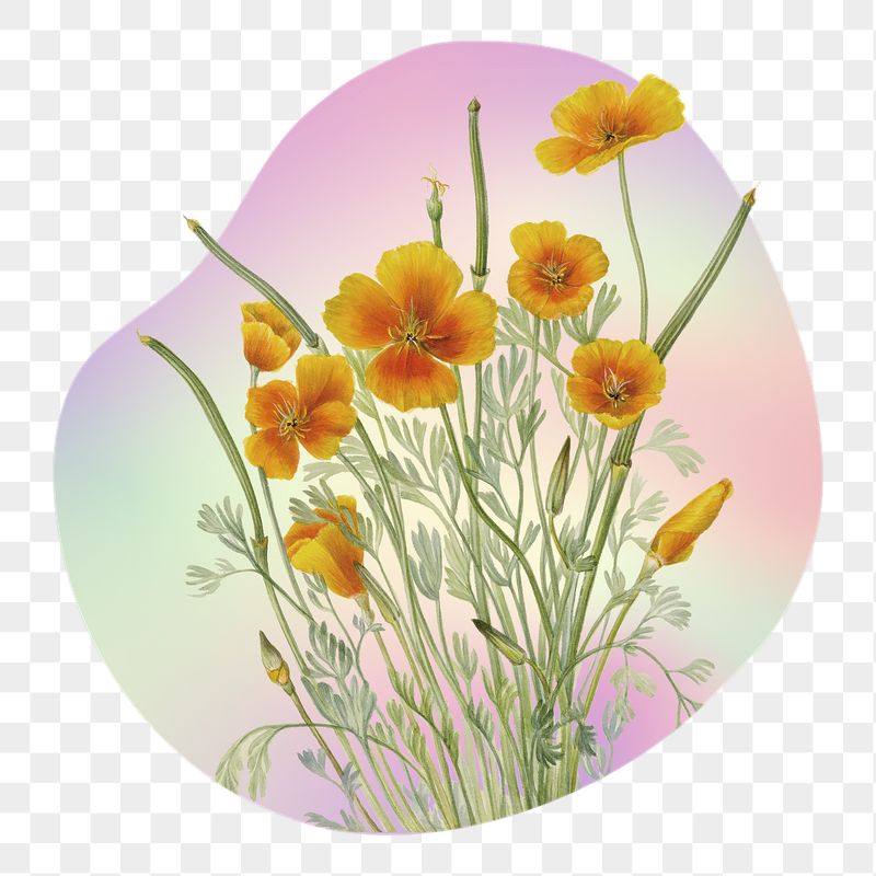 Yellow flower png on gradient | Free PNG - rawpixel