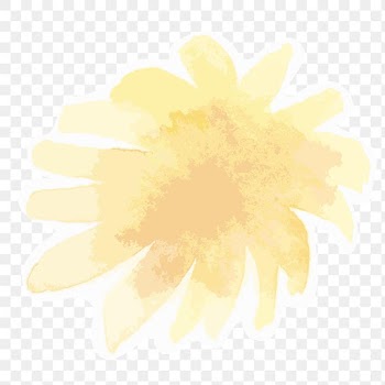 Yellow flower transparent png watercolor sticker