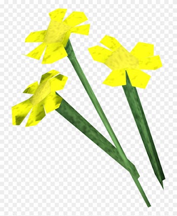 Yellow Flowers Detail - Runescape Flower
